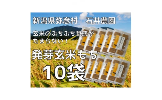 ぷちぷち食感がたまらない「発芽玄米餅」　10袋　新潟県弥彦村産「こがねもち」100%使用【1554478】