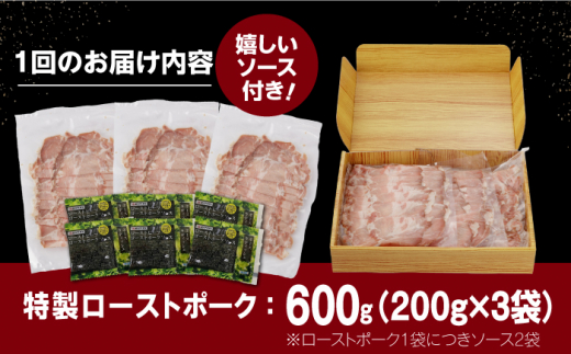 ローストポーク ろーすとぽーく 国産 長崎県産 豚 豚肉 味付け 味付き 小分け 真空パック ソース 冷凍 冷凍 定期便 定期