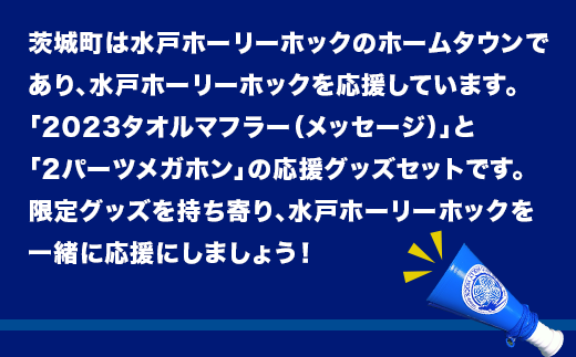 361 水戸ホーリーホック 応援セット