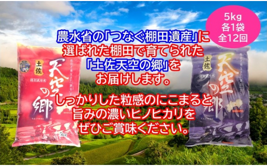 農林水産省の「つなぐ棚田遺産」に選ばれた棚田で育てられた 棚田米 土佐天空の郷 5kg食べくらべセット定期便 毎月お届け 全12回