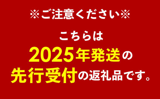 【化粧箱入】【先行受付・2025年発送】渡口ファームのこだわりマンゴー約1kg〈秀品・優品〉