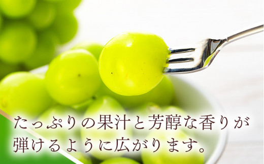 シャインマスカット 2kg 3～5房 ぶどう 葡萄 ブドウ マスカット 果物 くだもの フルーツ 旬の果物 旬のフルーツ 信州 長野 長野県 [№5675-1339]