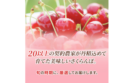 北海道 仁木町産 サクランボ 紅秀峰 600g 厳選品  松山商店