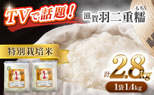 【12月発送】愛知県産滋賀羽二重糯 計2.8kg 1.4kg（1升）2袋セット 特別栽培米 もち米 ご飯／戸典オペレーター [AECT001-12]