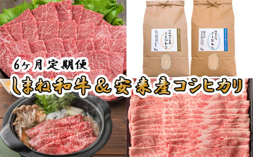 【定期便】しまね和牛&安来市産コシヒカリ6ヵ月便 令和6年産【新米 カルビ 肩バラ モモスライス 焼肉 すき焼き しゃぶしゃぶ お米  おいしい ご当地】