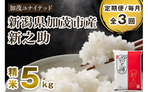 【令和6年産新米先行予約】【定期便3ヶ月毎月お届け】新潟県産 新之助 精米5kg 《5kg×1袋》 新潟 ブランド米 加茂市 加茂ユナイテッド