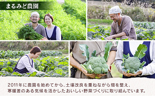 『定期便』全3回 野菜セット 詰め合わせ まるみど農園の季節のお野菜便 隔月 9種類 旬 農家直送 国産 送料無料_MA105_001s3