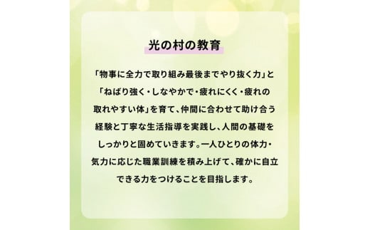 撚糸バック（大）大きい マグネット付き 内ポケット有 バッグ 柄布地 ねんし 学生 お仕事 通勤 通学 お買い物 軽量 軽い 丈夫 不織布 実用的 マグネットで閉まる メンズ レディース 日用品