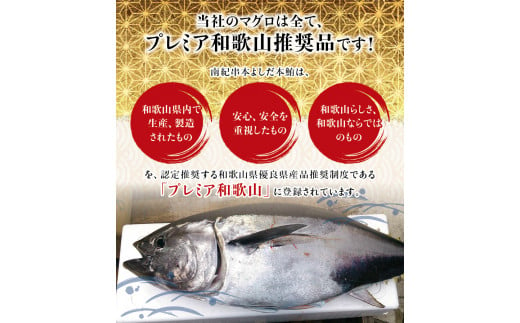 本マグロ 大とろ 200g サク 「プレミア和歌山認定」  和歌山県でも指折りの好漁場で養殖された本鮪です！  南紀串本よしだ本鮪【mhs103】