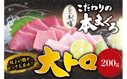 本マグロ 大とろ 200g サク 「プレミア和歌山認定」  和歌山県でも指折りの好漁場で養殖された本鮪です！  南紀串本よしだ本鮪【mhs103】