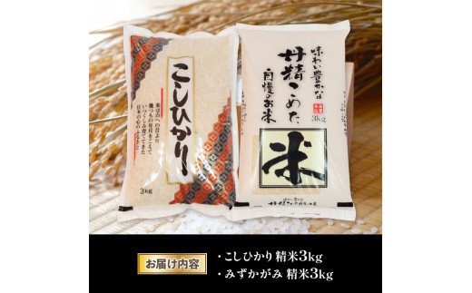 白米 食べ比べ セット 2種 ( 3kg × 2袋 ) こしひかり みずかがみ 令和5年産 国産 滋賀県産 近江米 コシヒカリ ミズカガミ 農家直送 産地直送 おいしい 食べくらべ たべくらべ 精米 米 こめ コメ 白飯 御飯 ご飯 ごはん ゴハン