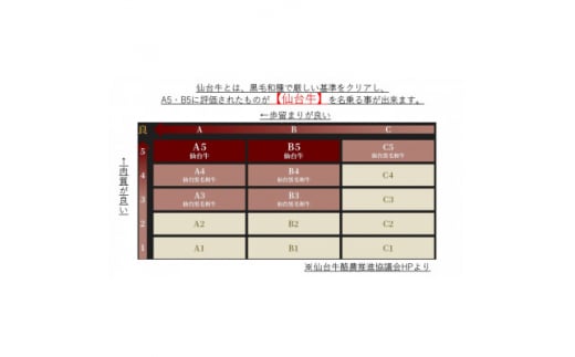 ＜A5ランク仙台牛＞肩ロース計500g!!　すき焼き・しゃぶしゃぶ用(500g×1P)【1477867】