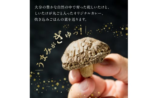 大分産乾しいたけと豊後きのこカレーと豊後きのこめし 大分県 椎茸 きのこ まるごと 炊き込みご飯 カレー 肉厚 香菇 常温 料理 セット F07027