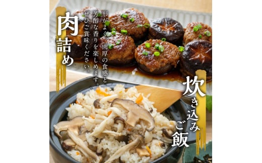 大分産乾しいたけと豊後きのこカレーと豊後きのこめし 大分県 椎茸 きのこ まるごと 炊き込みご飯 カレー 肉厚 香菇 常温 料理 セット F07027