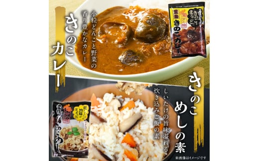 大分産乾しいたけと豊後きのこカレーと豊後きのこめし 大分県 椎茸 きのこ まるごと 炊き込みご飯 カレー 肉厚 香菇 常温 料理 セット F07027