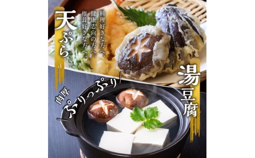 大分産乾しいたけと豊後きのこカレーと豊後きのこめし 大分県 椎茸 きのこ まるごと 炊き込みご飯 カレー 肉厚 香菇 常温 料理 セット F07027