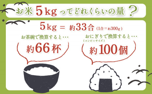 【6回定期便】合鴨農法ななつぼし 【玄米】【有機肥料/無農薬・無化学肥料･備蓄用】 令和６年度米 5kg(1kg×5袋)　水田環