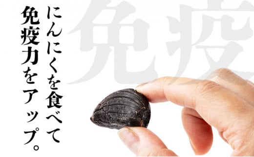 JAゆうき青森 パワー満菜セット【セット 詰め合わせ 国産 にんにく 黒にんにく 味噌 みそ 粉末 スライス あめ 飴 個包装 箱 化粧箱 贈り物 ギフト プレゼント 健康 贈り物 ギフト 東北 青森県 七戸町 送料無料】【02402-0298】