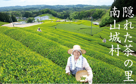 【宇治抹茶スイーツ】抹茶の味がしっかりと味わえる　むらちゃアイス抹茶6個ほうじ茶6個セット [№5299-0044]