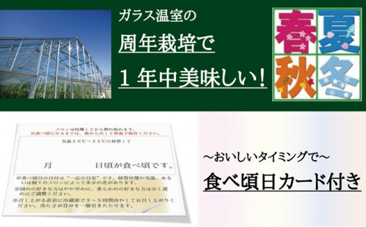 『クラウンメロン ”名人メロン” 1玉 定期便12ヶ月』 【桐箱入】 メロン 人気 厳選 ギフト 贈り物 デザート グルメ フルーツ 果物 袋井市