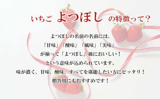 農家直送 いちご よつぼし 600g フルーツ 徳島県 阿波市 人気急上昇