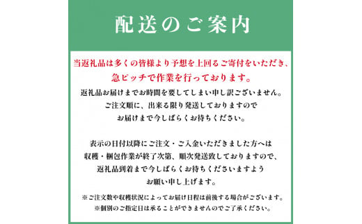 農家直送 いちご よつぼし 600g フルーツ 徳島県 阿波市 人気急上昇