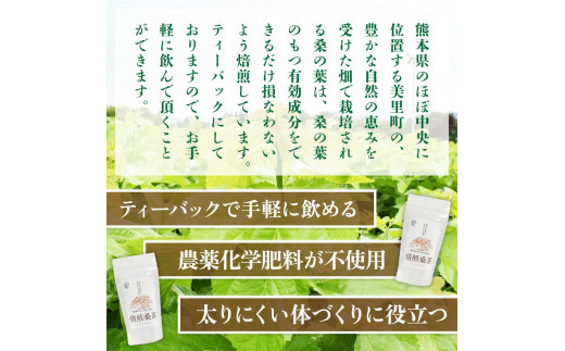 【ふるさと納税】 焙煎 桑茶 2袋 セット 熊本 美里町 JAS認証 桑 茶 ティーバック 熊本県 お茶 ティー tea bag 有機認証 農薬不使用 化学肥料不使用 有機肥料