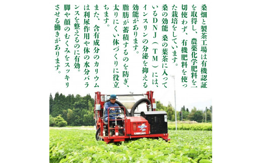 【ふるさと納税】 焙煎 桑茶 2袋 セット 熊本 美里町 JAS認証 桑 茶 ティーバック 熊本県 お茶 ティー tea bag 有機認証 農薬不使用 化学肥料不使用 有機肥料