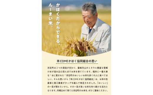 【令和5年産米】2024年3月上旬発送 はえぬき20kg （5kg×4袋）山形県産【米COMEかほく協同組合】