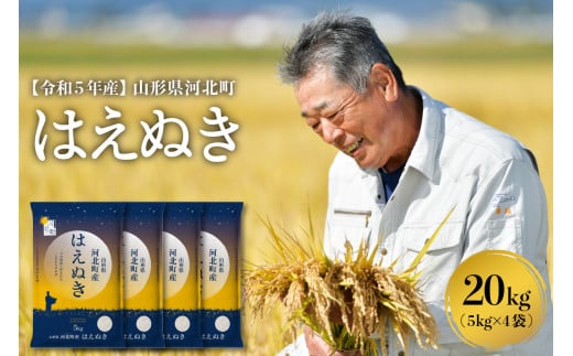 【令和5年産米】2024年3月上旬発送 はえぬき20kg （5kg×4袋）山形県産【米COMEかほく協同組合】