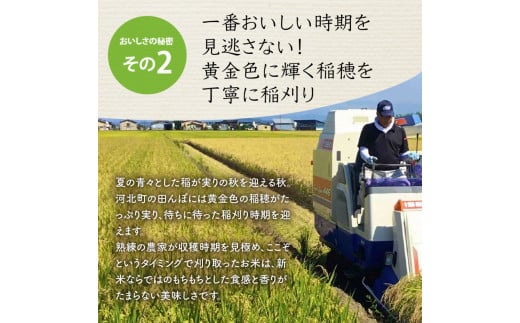 【令和5年産米】2024年3月上旬発送 はえぬき20kg （5kg×4袋）山形県産【米COMEかほく協同組合】