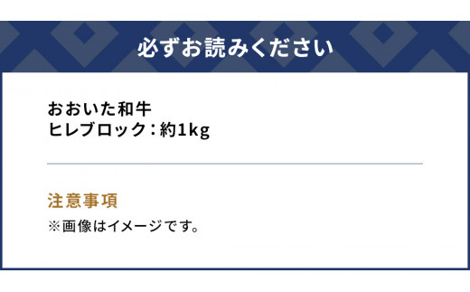 おおいた和牛 ヒレブロック約1kg 和牛 豊後牛 国産牛 赤身肉 焼き肉 焼肉 大分県産 九州産 津久見市 国産