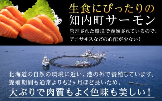 国産☆スモーク サーモンスライス 知内町産☆〈冷凍〉500g ふるさと納税 鮭 冷凍サーモン 切り落とし 海鮮 人気 小分け 北海道 知内