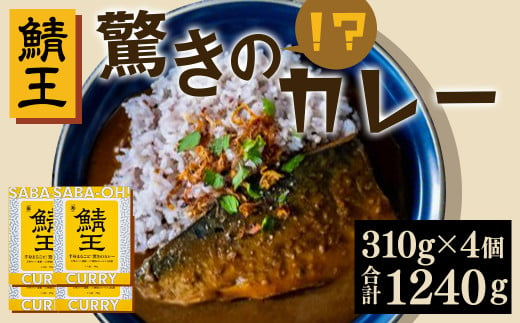 鯖王 驚きのカレー 310g×4個 八戸前沖さば カレー スパイス