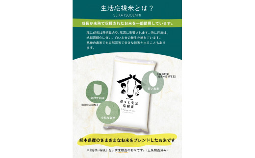 毎日食卓・米農家 応援米 20kg 熊本県産 お米 白米 | お米 お米  精米 白米 お米 毎日食卓米 お米 お米 農家応援米 お米 20キロ お米 お米 ブレンド米 お米 家庭用 送料無料 お米 熊本 お米 コロナ支援 お米 災害支援 お米 フードロス お米 くまもと お米 熊本県 お米 お米