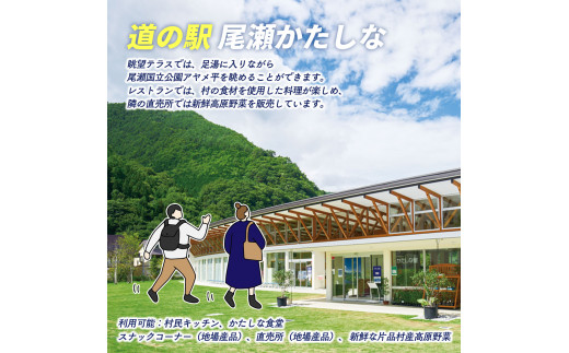 おためし券（道の駅 尾瀬かたしな　、　花の駅 花咲の湯　、　寄居山温泉 ほっこりの湯）