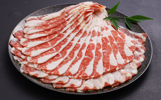 【6か月定期便】 熊本産 馬肉のしゃぶしゃぶ 約3kg（約500g×6か月）