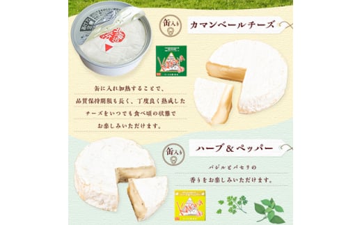 ＜毎月定期便＞高評価! 角谷 カマンベールチーズセット＜125g×4個＞全3回【4013938】