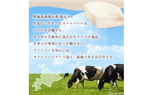 ＜毎月定期便＞高評価! 角谷 カマンベールチーズセット＜125g×4個＞全3回【4013938】