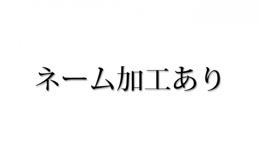 [№5695-7016]【島田の逸品】1104木こりの積木ランド L （ネームあり）