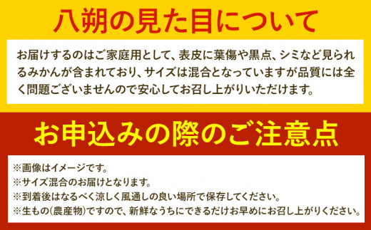 みかん 八朔 ご家庭用 10kg サイズ混合 GOGO農園《1月中旬-3月末頃出荷》 和歌山県 日高川町 はっさく みかん 柑橘 蜜柑 フルーツ 送料無料