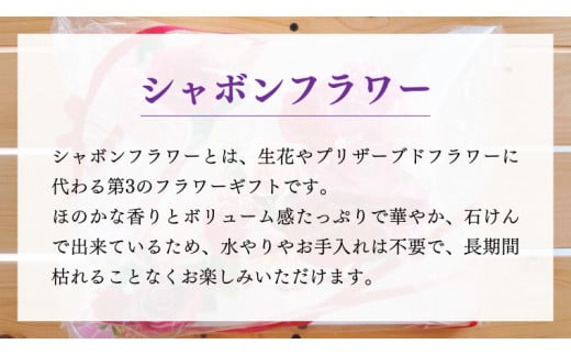 壁掛け シャボンフラワー S フラワーギフト 贈り物 ギフト 誕生日 プレゼント 石鹸素材 枯れないお花 [DP007sa]