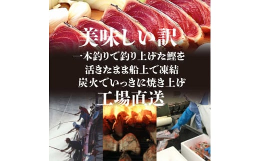 ＜数量限定＞＜訳あり＞大きいサイズの一本釣り炭火焼鰹たたき　A0-36_ かつお カツオ 鰹 かつおのたたき 訳アリ わけあり 焼き鰹 焼鰹 鹿児島県 枕崎市 ふるさと 【1508872】