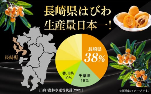 【先行予約】＜5月～発送＞長崎びわ「なつたより」15玉～18玉入り 長崎県/長崎果匠 [42AABK004] びわ ビワ 大玉 フルーツ