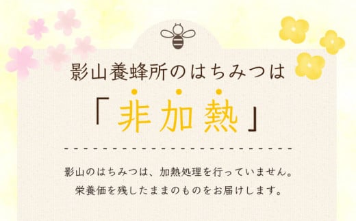 【7月発送】 はちみつ 蜂蜜 非加熱 国産 500g チューブ 百花蜜 百花蜂蜜 純粋 プレゼント 贈答用 徳島県 阿波市 影山養蜂研究所【 無添加 百花蜂蜜 百花はちみつ 純粋はちみつ 生はちみつ 天然はちみつ 天然蜂蜜 蜂蜜 はちみつ ハニー】