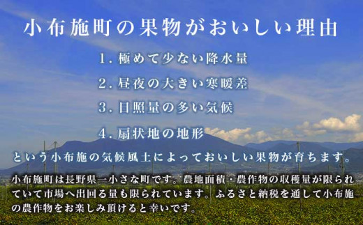 【訳あり】ピオーネ 約1kg 2～3房 ［新規就農者応援コース 幸作会］果物 フルーツ ぶどう 不揃い 規格外 数量限定 長野県産 信州産 冷蔵便 クール便【2024年9月中旬～10月下旬発送】［K-519］