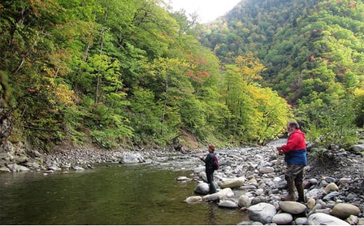 渓流ルアーフィッシング【体験チケット】体験 チケット 自然 川 釣り 北海道 日高町