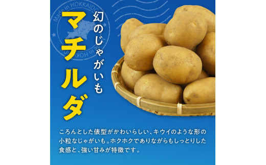 【先行受付】【2025年4月出荷分】十勝めむろ産 マチルダ Ｌサイズ10kg me010-013c-24