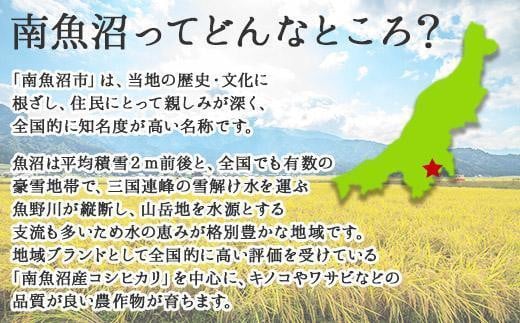 新潟県 南魚沼産 厳選 国産 黒 高級 舞茸 産地直送 700g