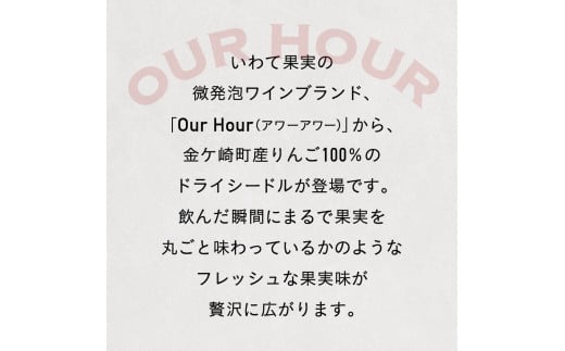 【定期便/3ヶ月】シードル ドライ りんご 果実酒 ベアレンビール 330ml 12本 金ケ崎町産 リンゴ 林檎